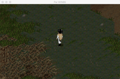 2.png